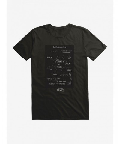 Fantastic Beasts Rudimentary Curses T-Shirt $6.88 T-Shirts