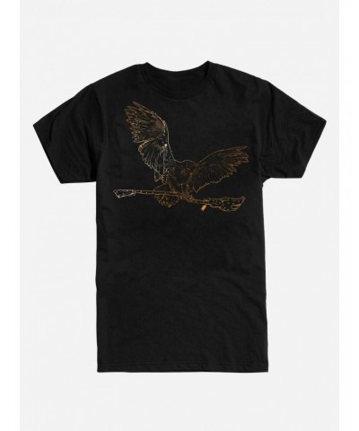 Harry Potter Hedwig Delivery T-Shirt $6.88 T-Shirts