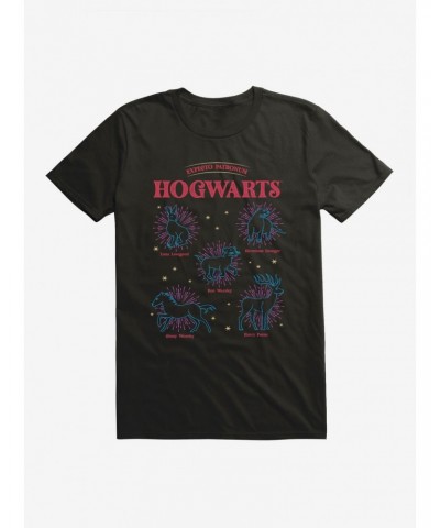 Harry Potter Hogwarts Patronus T-Shirt $7.27 T-Shirts